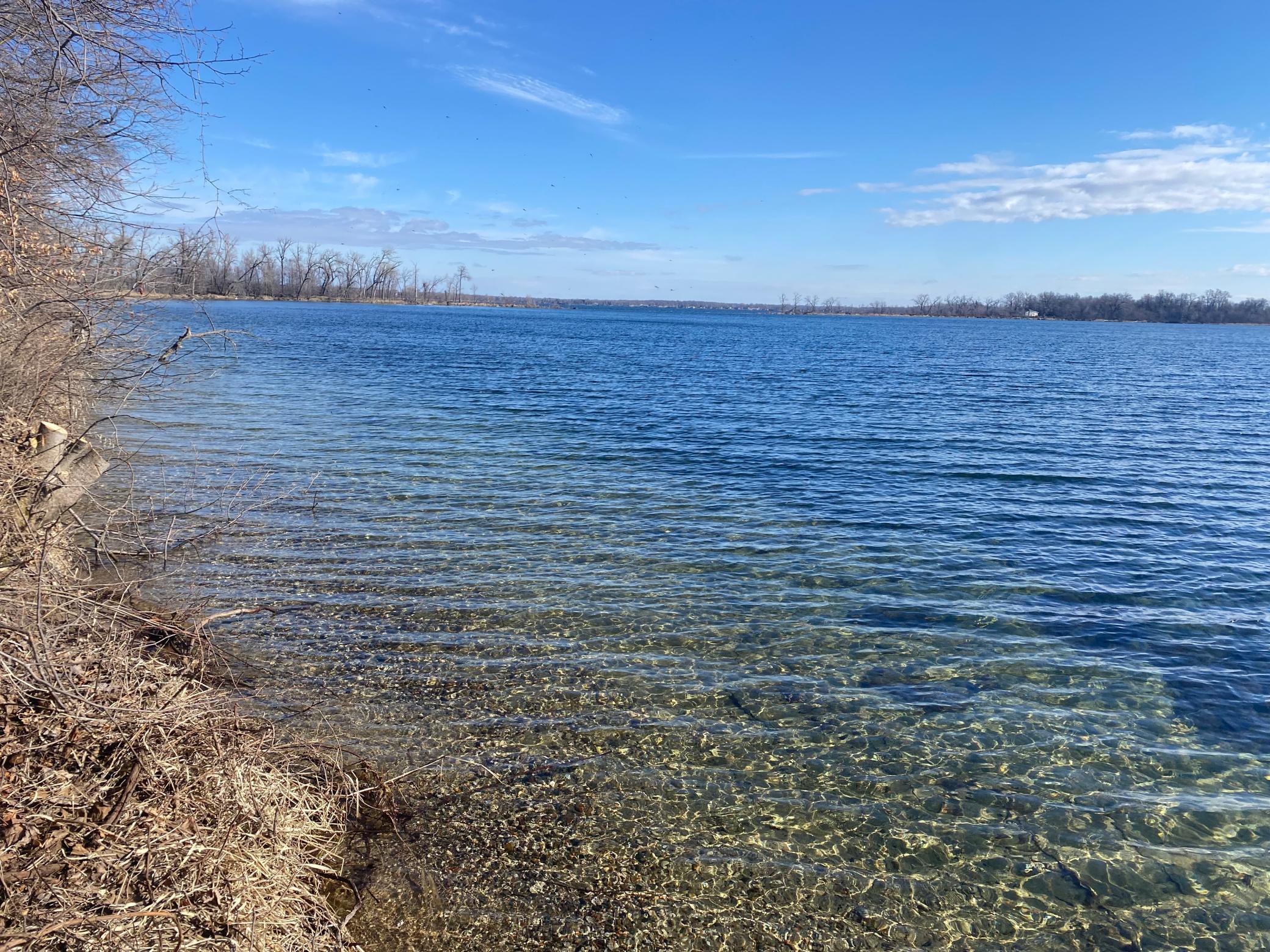 Tbd Engstrom Beach Road, Dent, Minnesota image 8