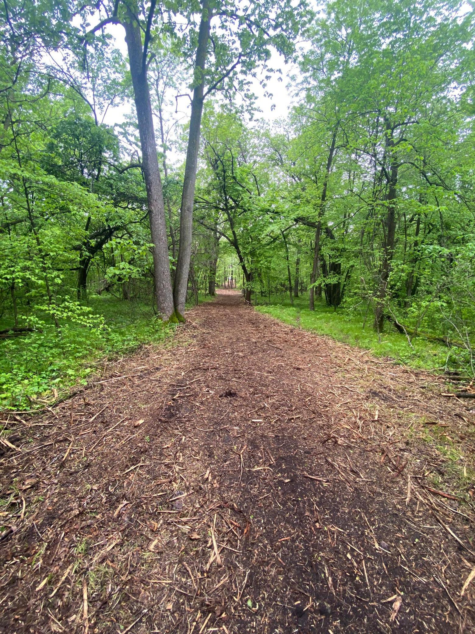 Tbd Engstrom Beach Road, Dent, Minnesota image 6