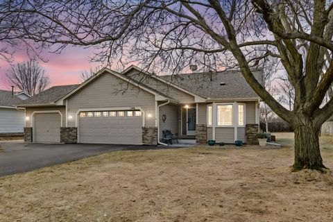 Homes For Sale - 1146 137th Lane<br/> Andover, MN 55304