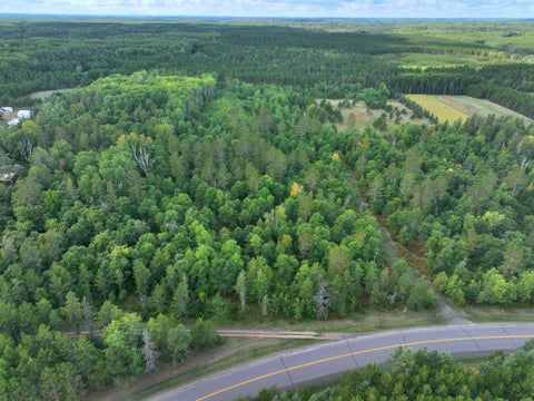 Vacant Land For Sale - TBD County 119<br/> Hubbard County, Nevis, MN 56467