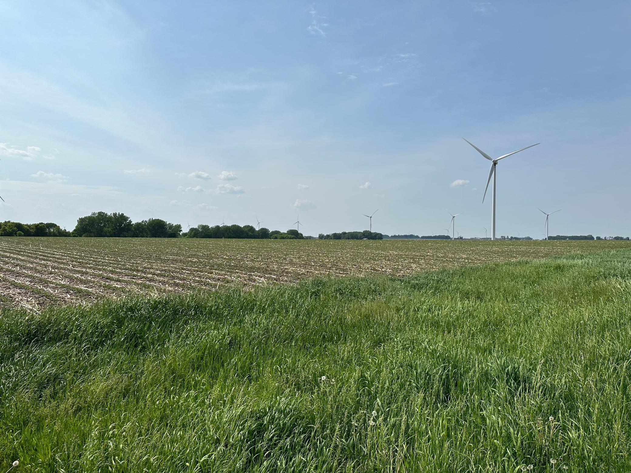 Xxxx 240th Street, Dexter, Minnesota image 3