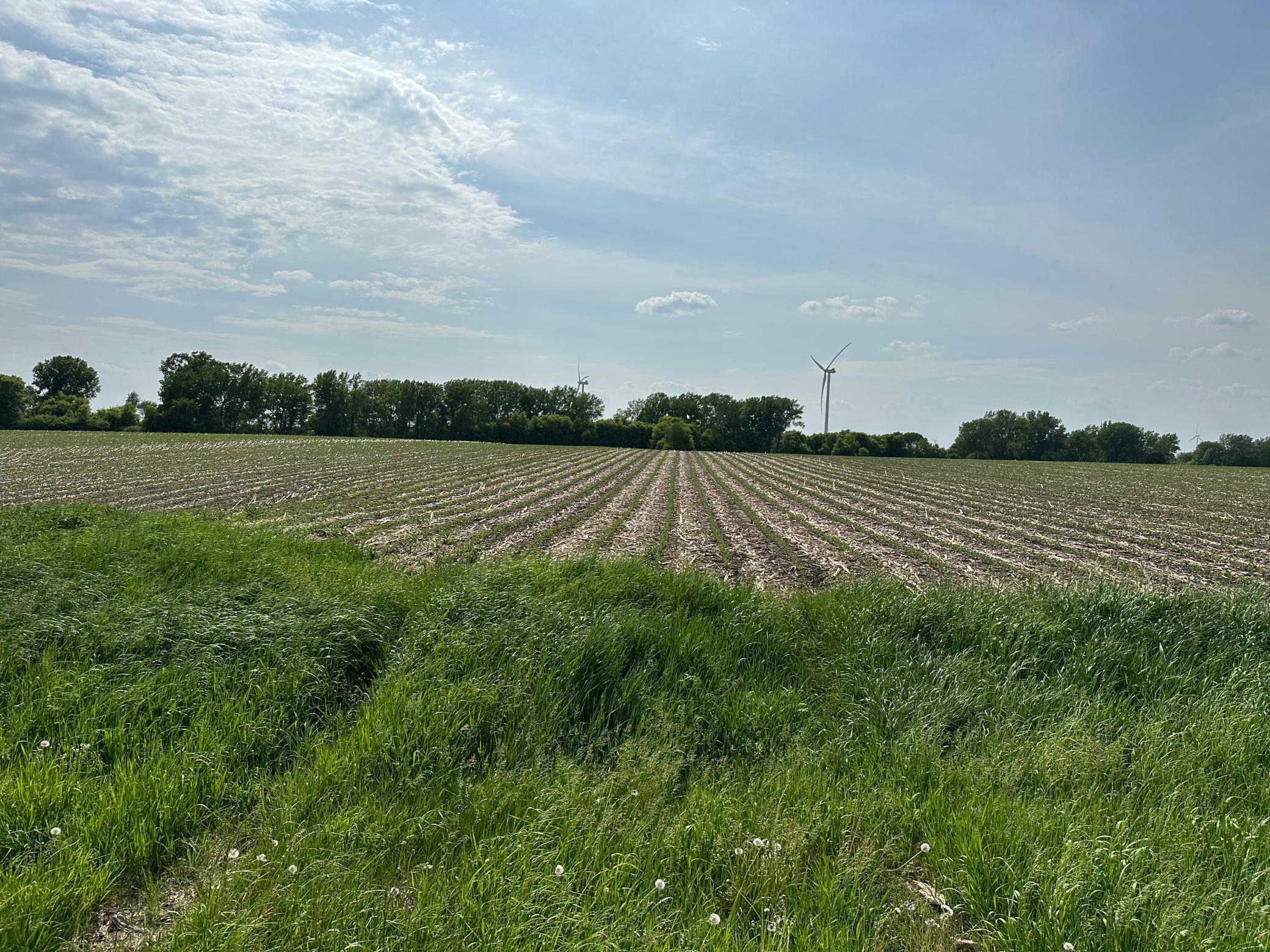 Xxxx 240th Street, Dexter, Minnesota image 4
