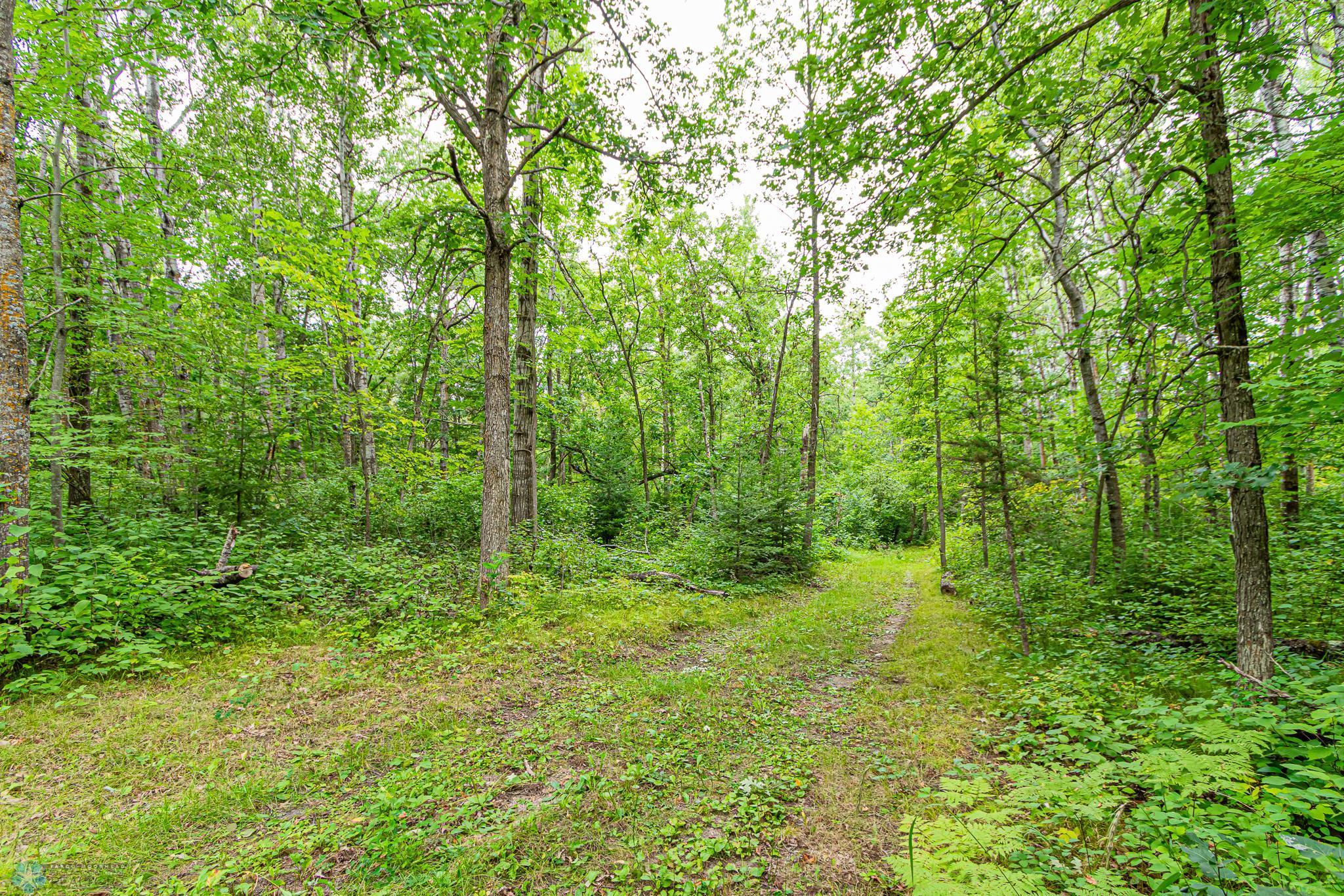 46567 County Highway 26, Detroit Lakes, Minnesota image 13