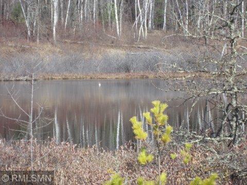 7611 Sixth Lake Road, Akeley, Minnesota image 8