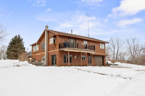 Homes For Sale - 72295 273rd Street<br/> Meeker County, Dassel, MN 55325