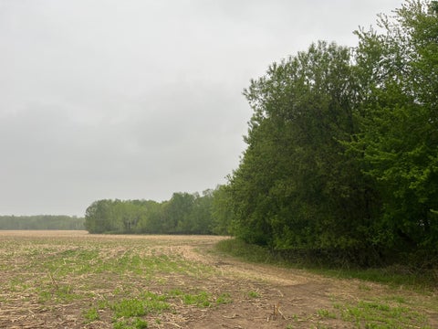 Vacant Land For Sale - TBD (LOT 4) Hemingway Avenue<br/> North Branch, MN 55056