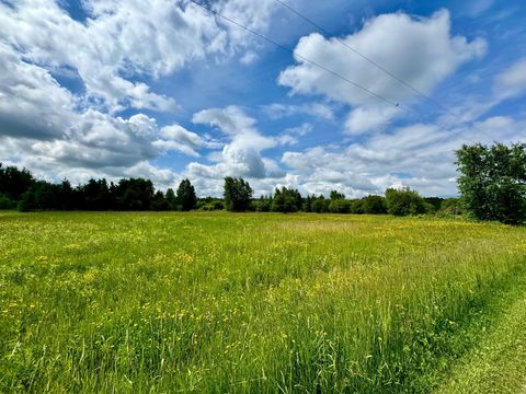 Vacant Land For Sale - TBD 580th Avenue<br/> Roseau County, Warroad, MN 56763