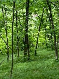 Lot 3 Fawn Lake Road, Crosslake, Minnesota image 9