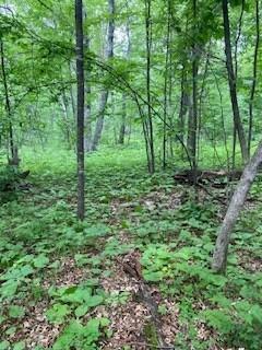 Lot 3 Fawn Lake Road, Crosslake, Minnesota image 10