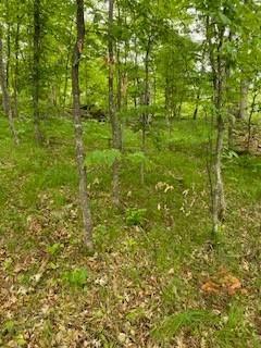 Lot 3 Fawn Lake Road, Crosslake, Minnesota image 11
