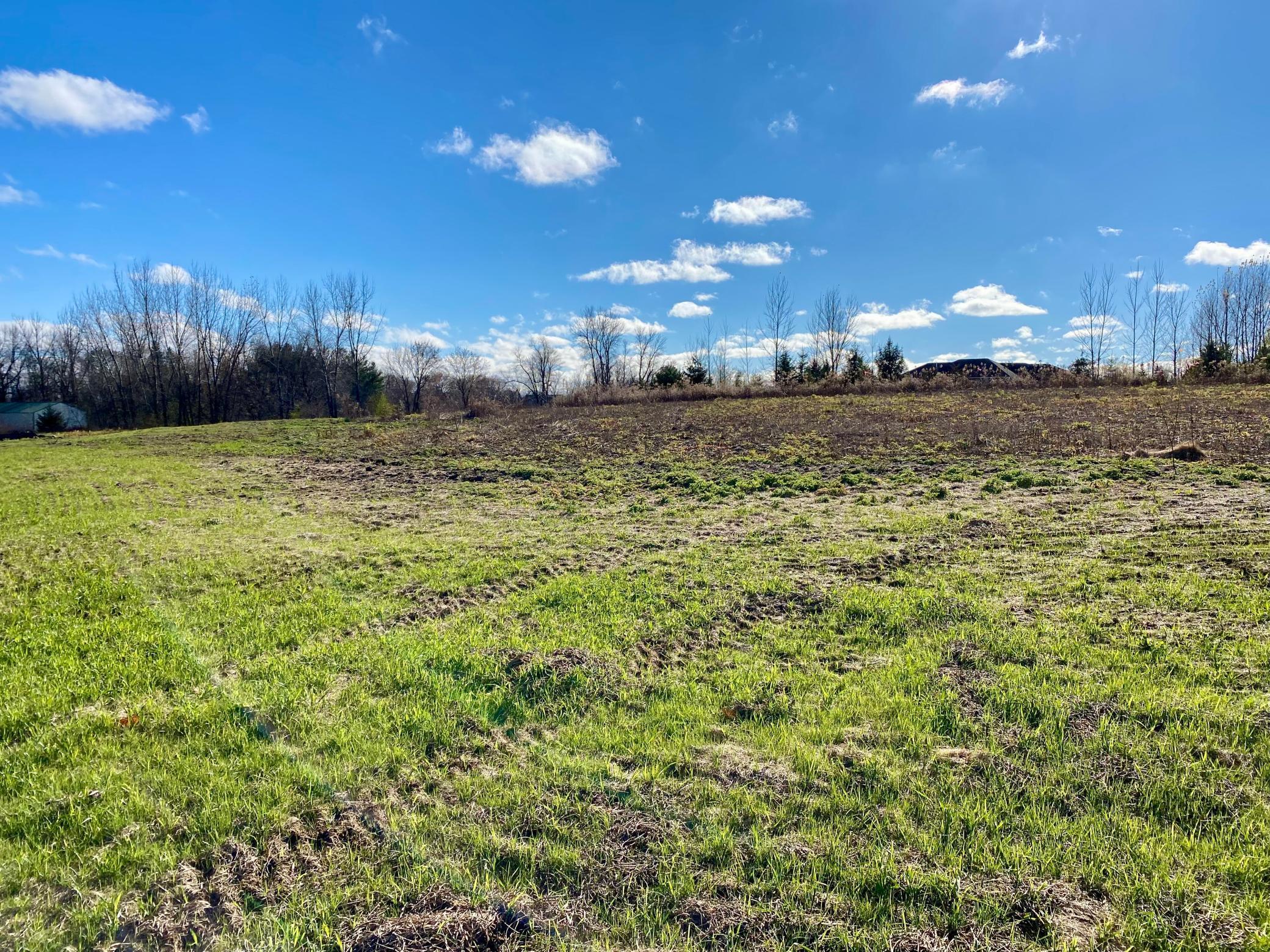 XXXX Red Oak Ct., Lot 5, Hudson, Wisconsin image 7
