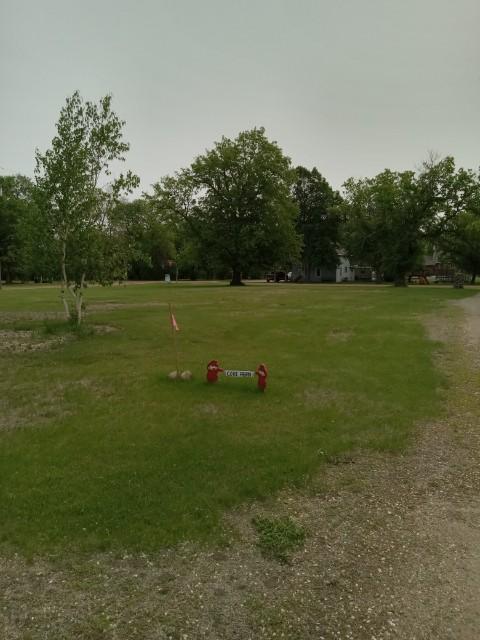 TBD LOTS 1 & 2 State Street, Villard, Minnesota image 9