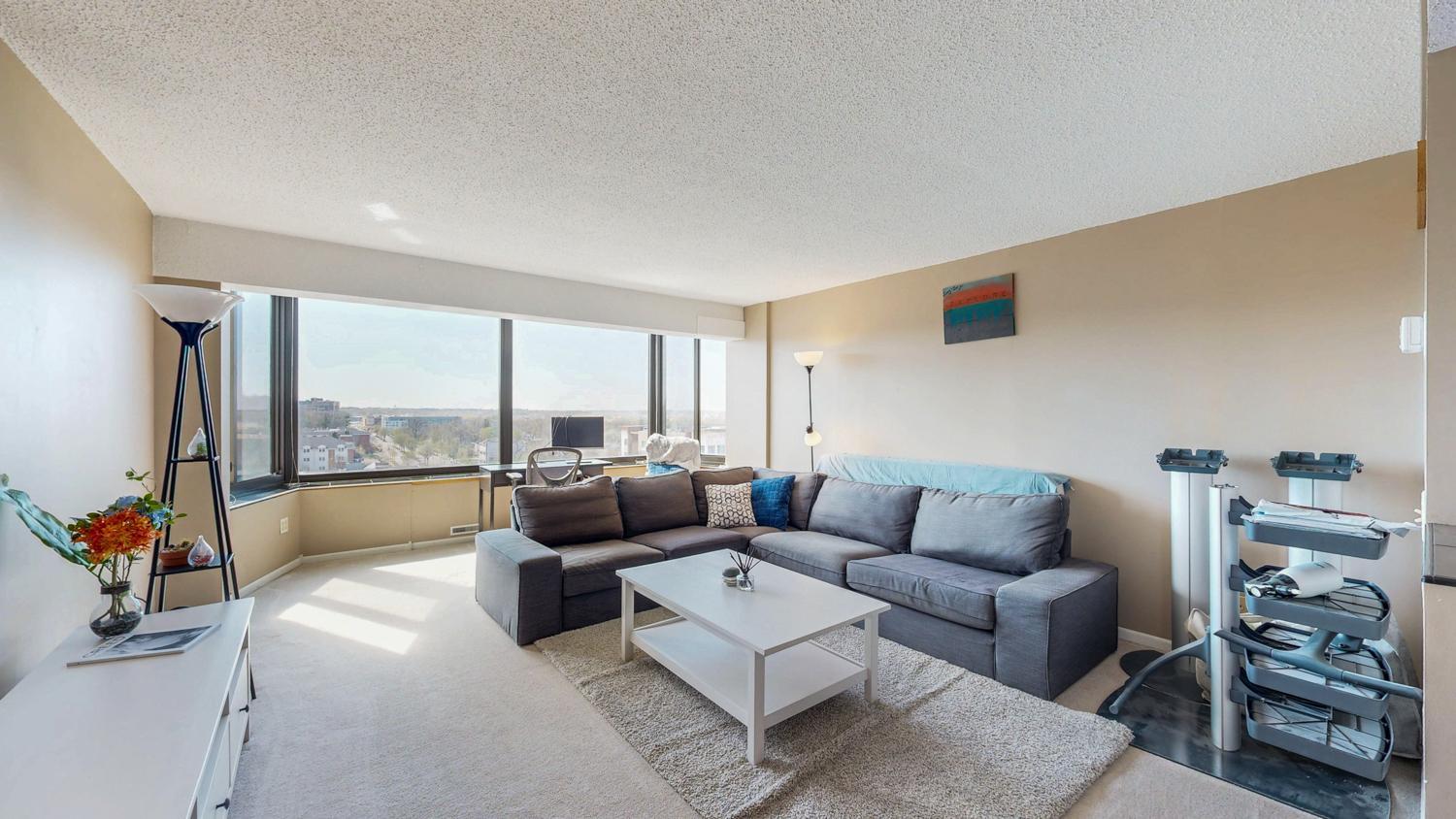 207 5th Avenue #802, Rochester, Minnesota image 7