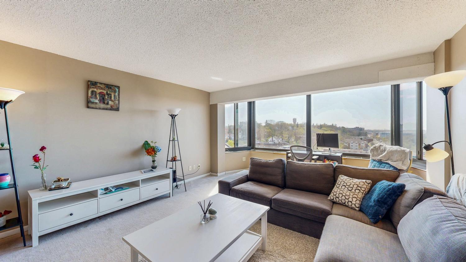 207 5th Avenue #802, Rochester, Minnesota image 9