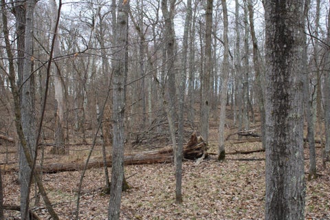 Vacant Land For Sale - TBD St. Moritz Boulevard<br/> Breezy Point, MN 56472
