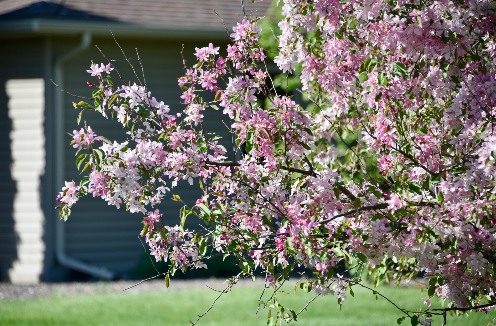 11375 Gem Street, Milaca, Minnesota image 26