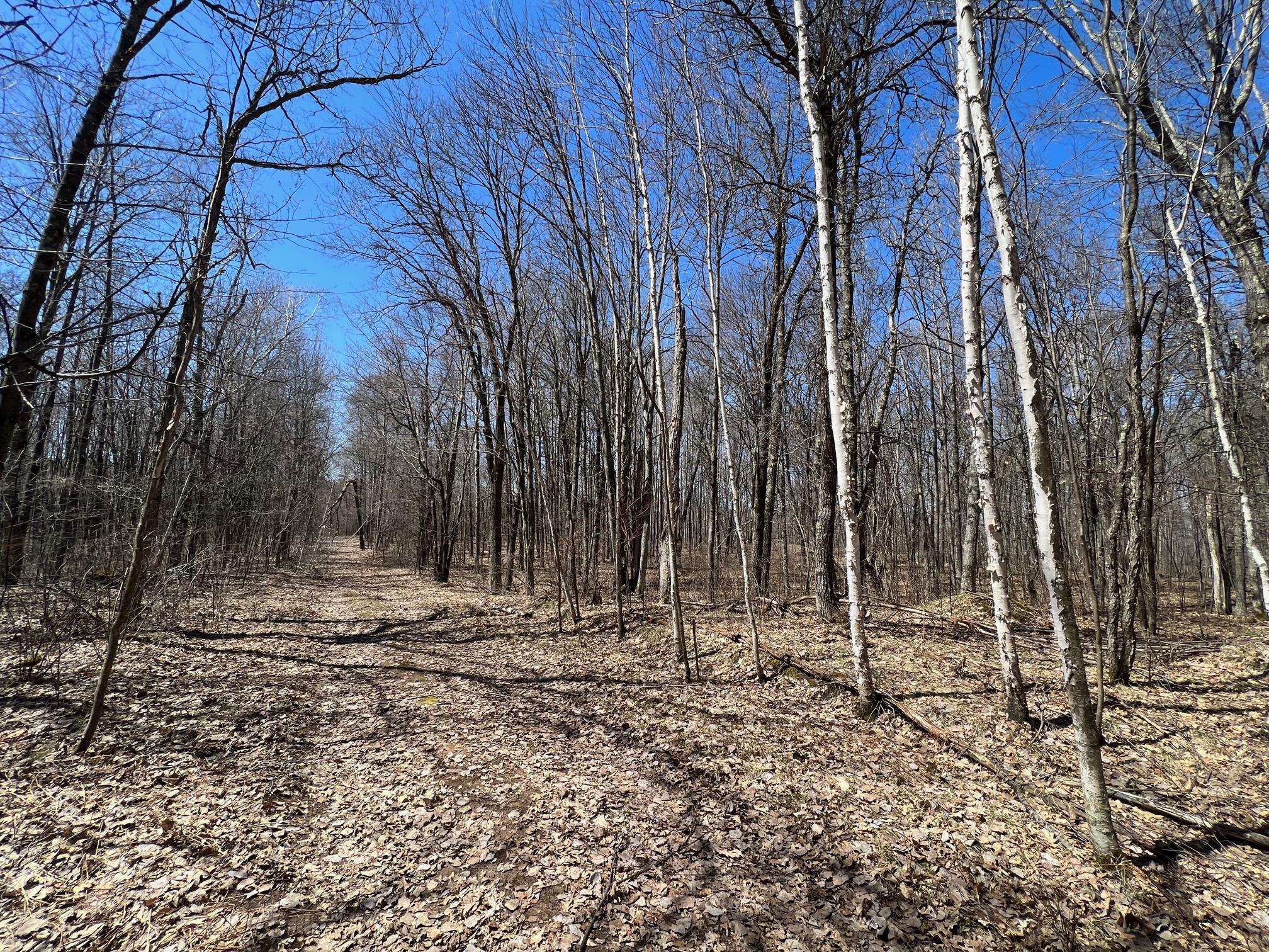 TBD Highway I Road, Minong, Wisconsin image 2