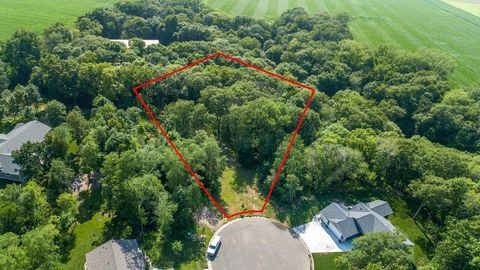 Vacant Land For Sale - 180 Woodland Drive<br/> Sibley County, Henderson, MN 56044