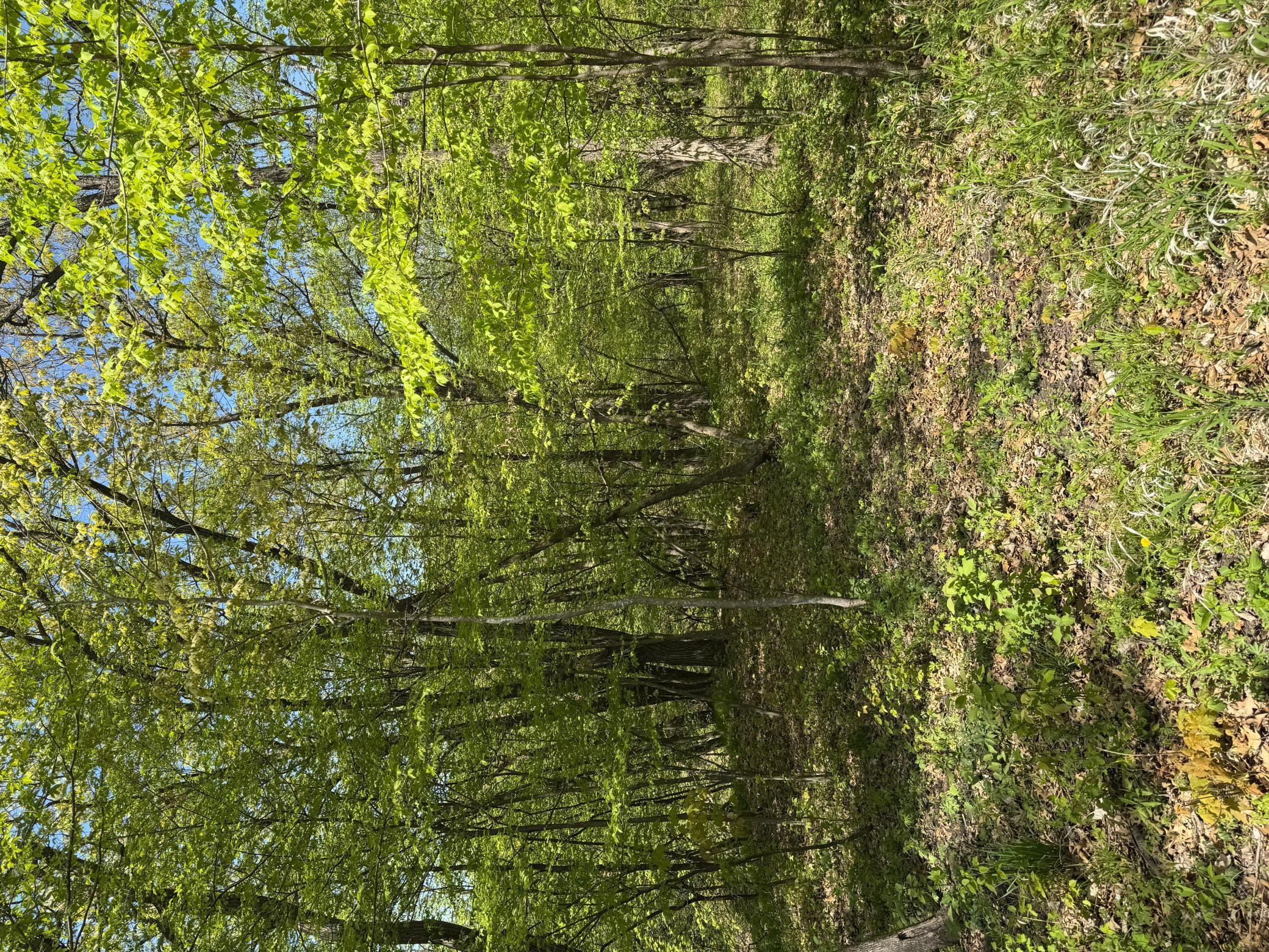 180 Woodland Drive, Henderson, Minnesota image 2