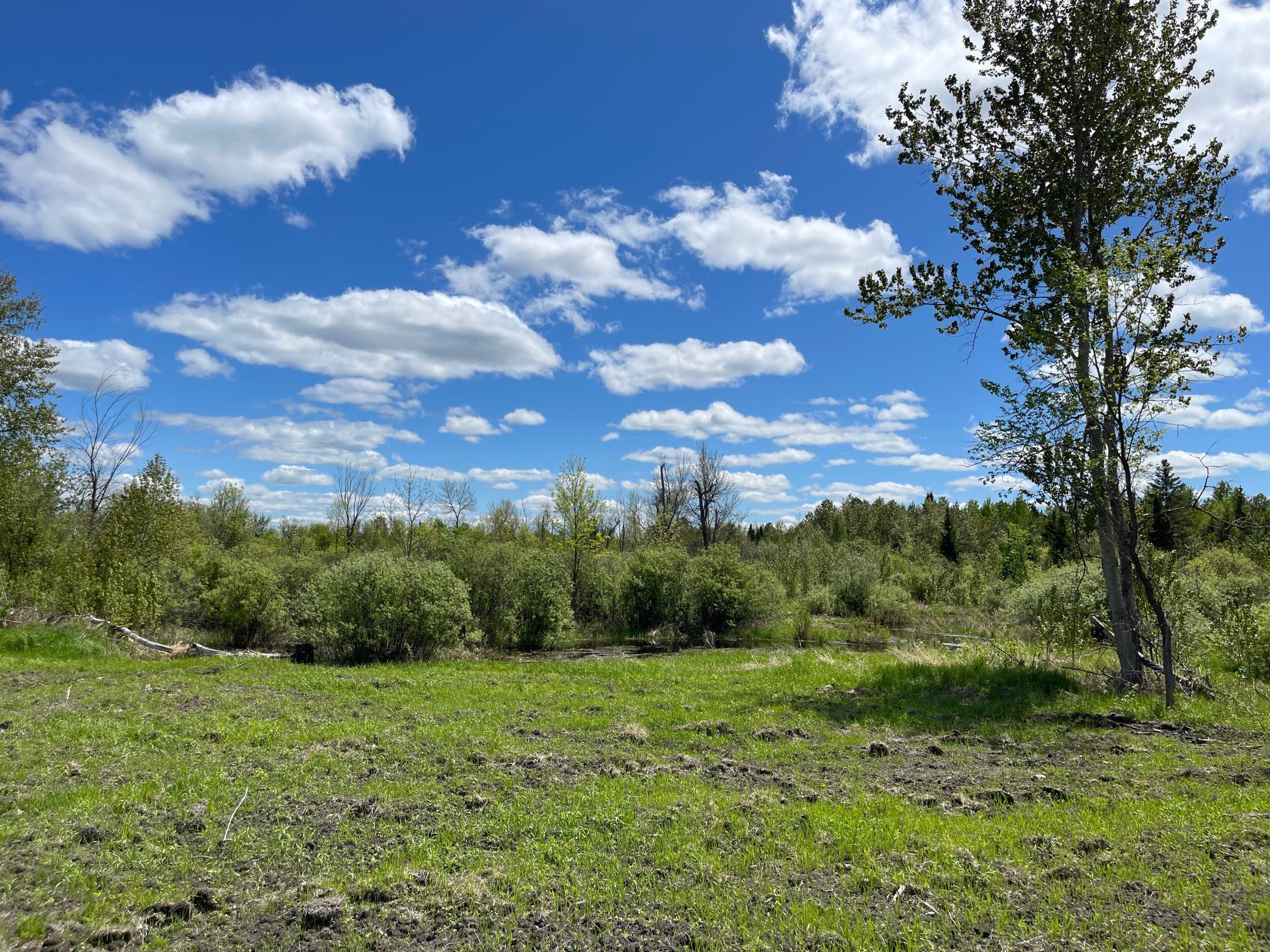 26596 Fawn Lane, Kelliher, Minnesota image 12