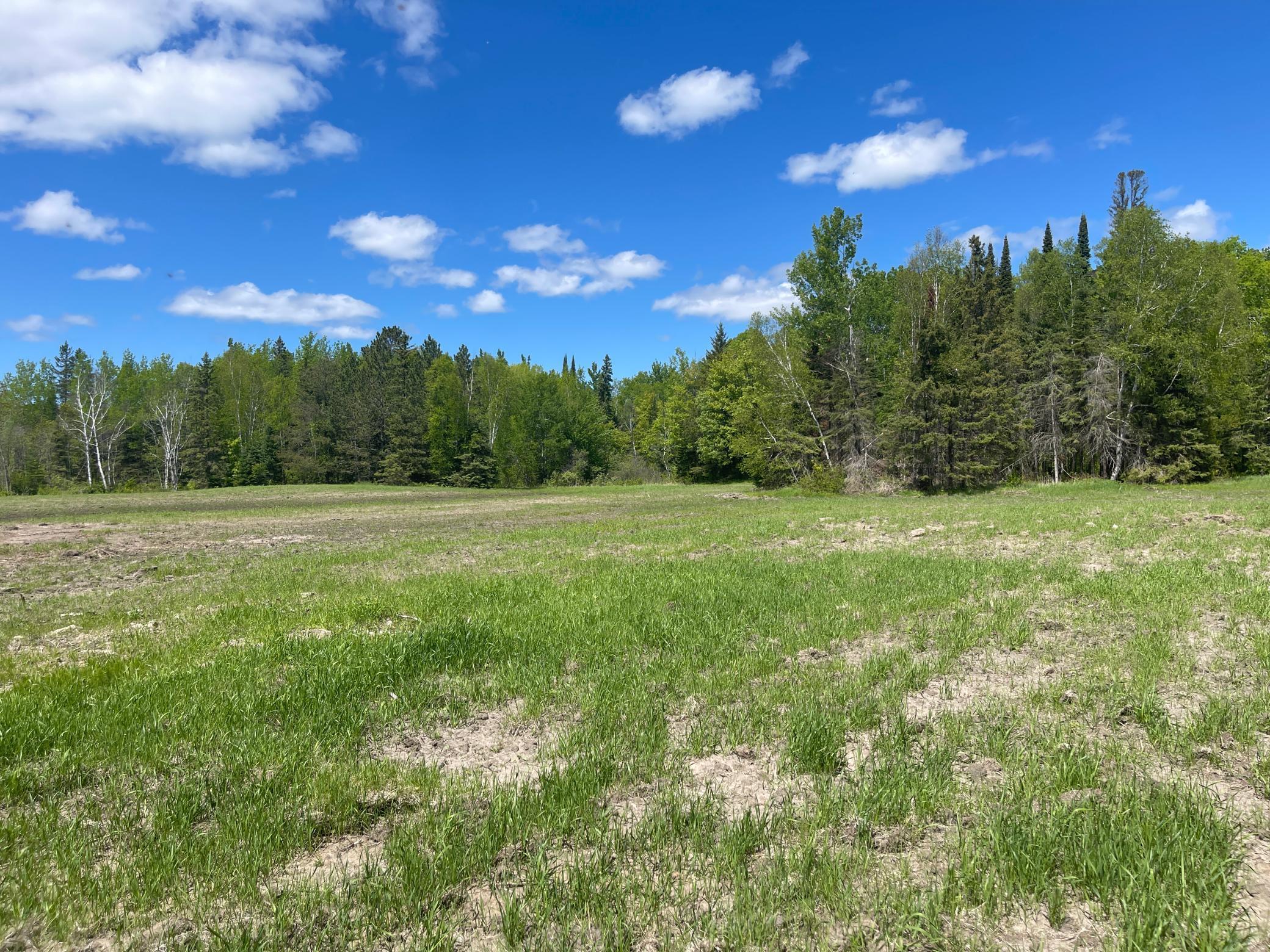 26596 Fawn Lane, Kelliher, Minnesota image 30