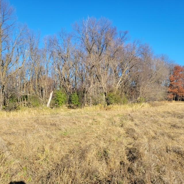 Lot 4 575th, Litchfield, Minnesota image 2