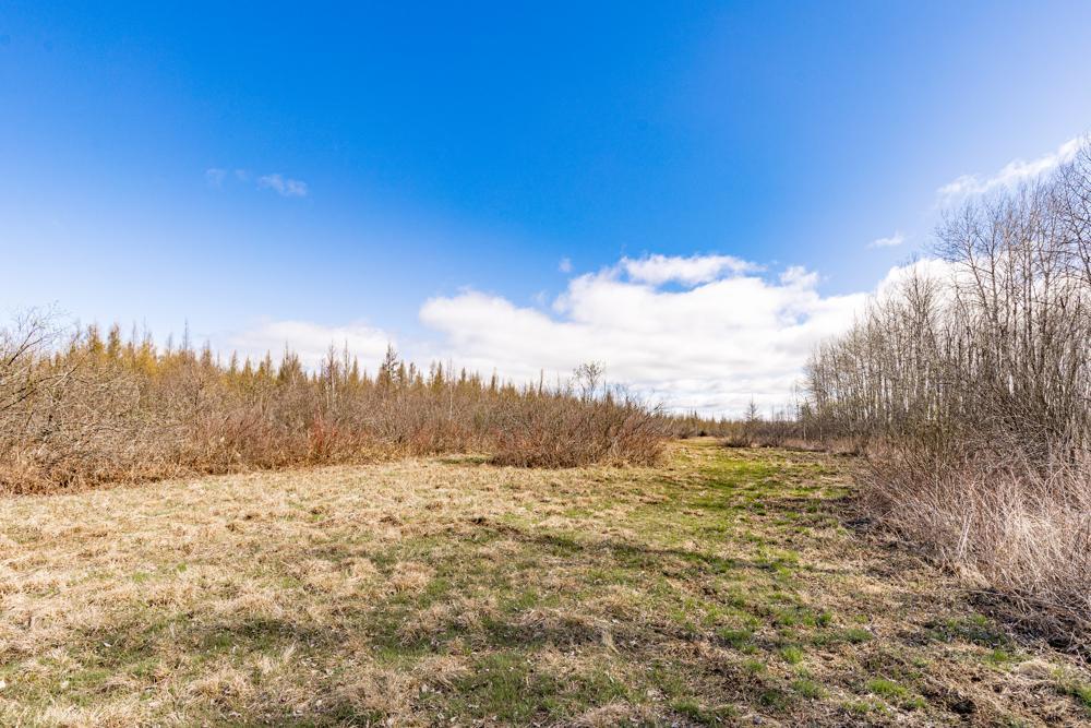 14340 440th Street, Tamarack, Minnesota image 29