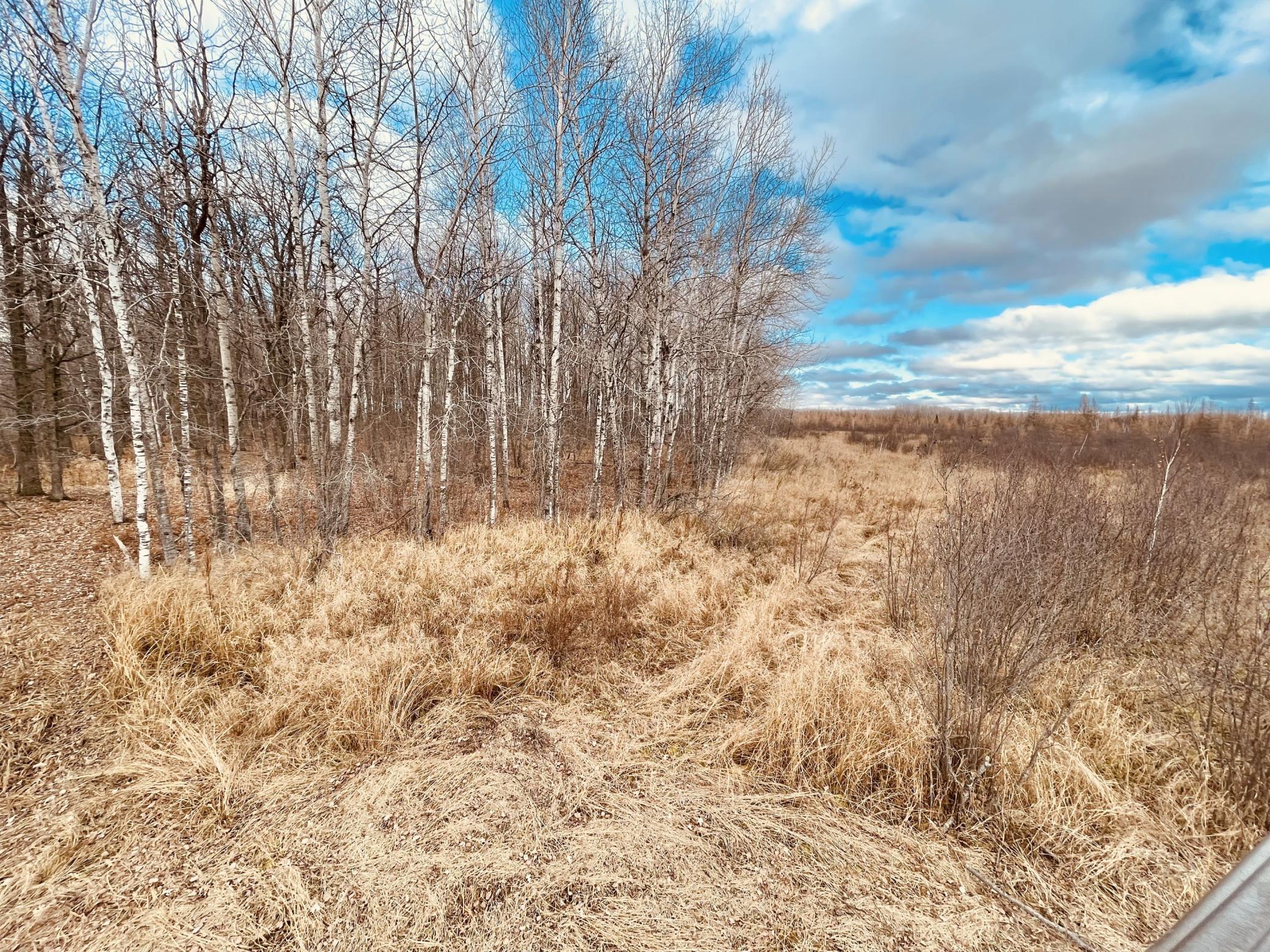 14340 440th Street, Tamarack, Minnesota image 38