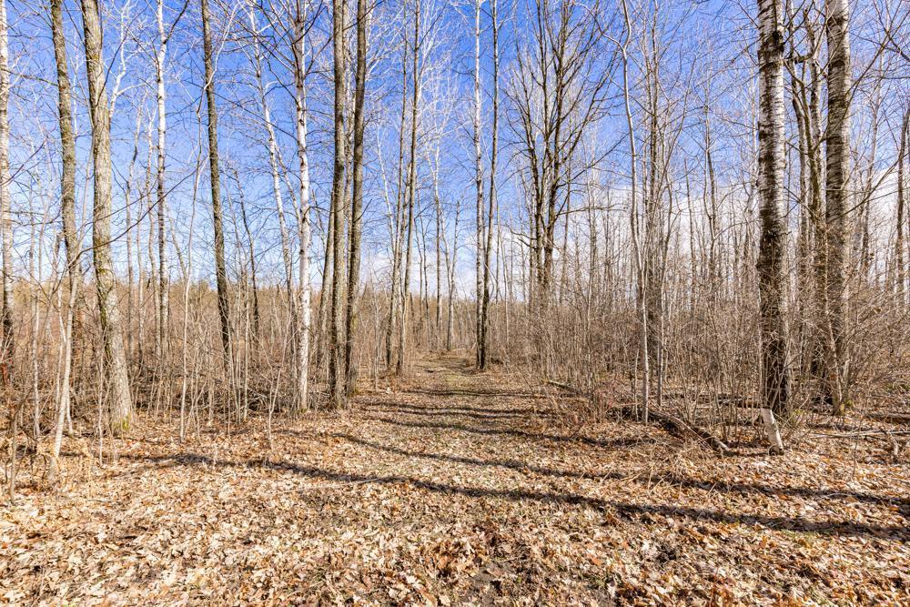 14340 440th Street, Tamarack, Minnesota image 34
