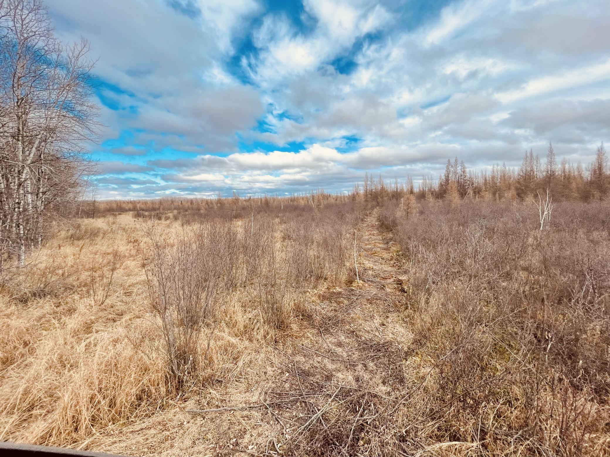 14340 440th Street, Tamarack, Minnesota image 31