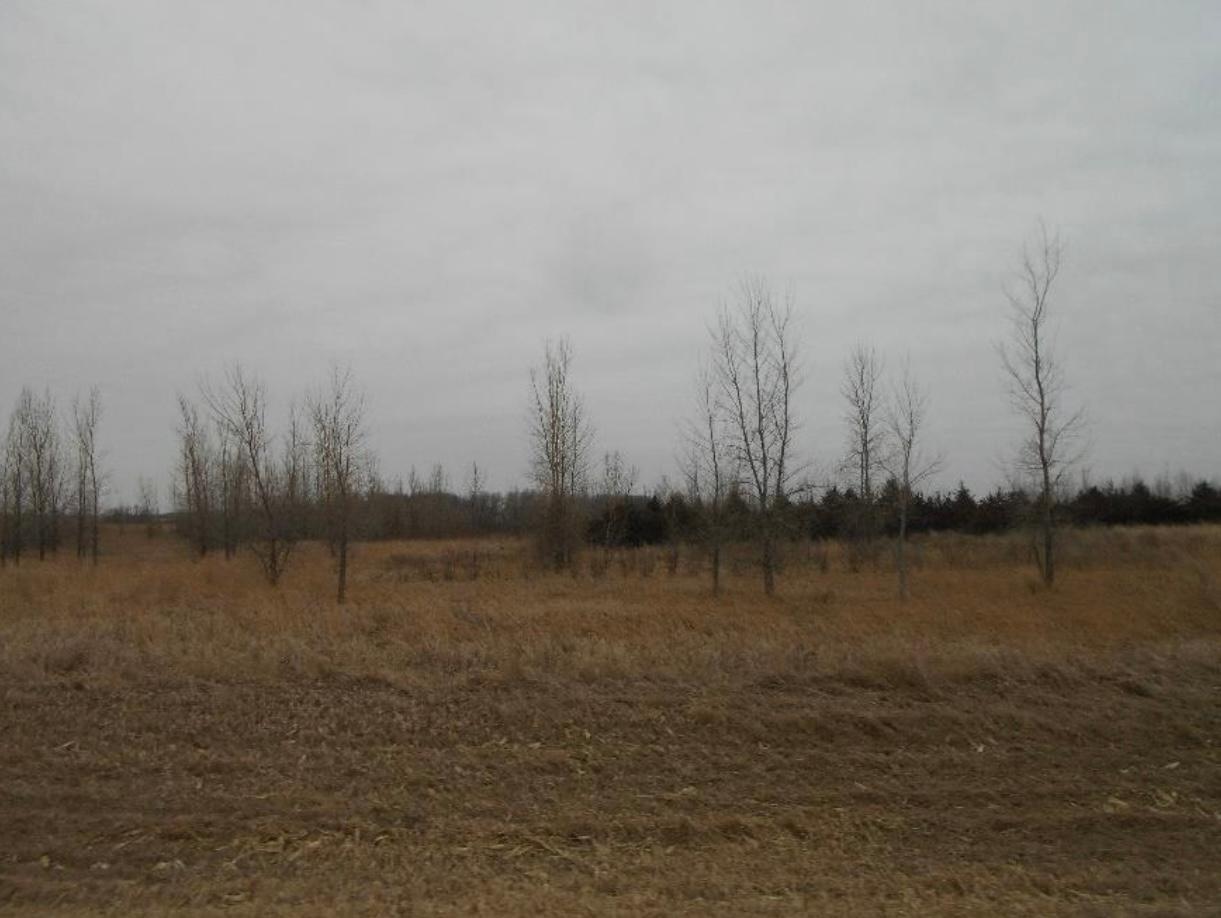 2163 190th Avenue, Tracy, Minnesota image 15