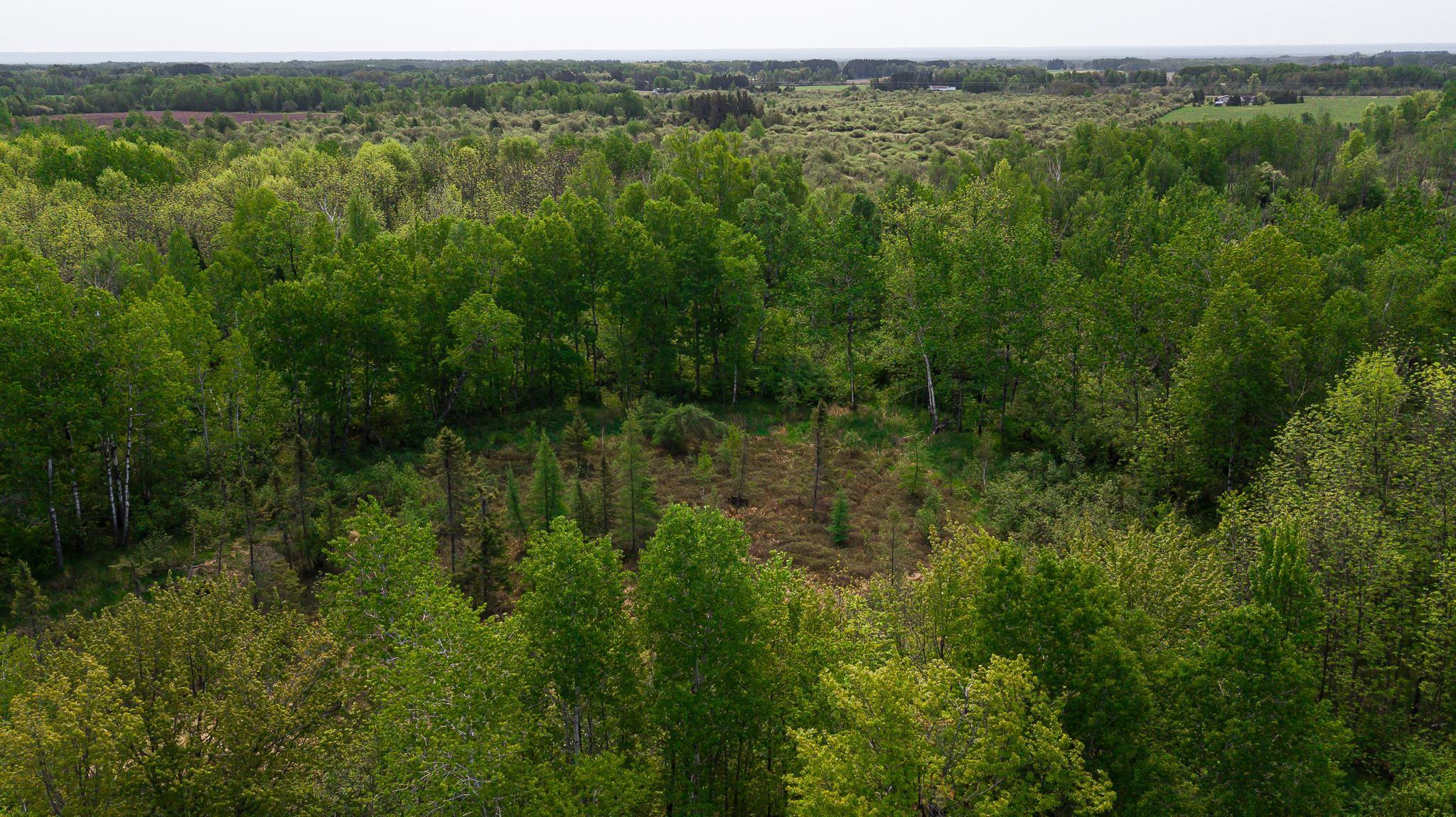TBD-106AC County Rd 4, Wrenshall, Minnesota image 21