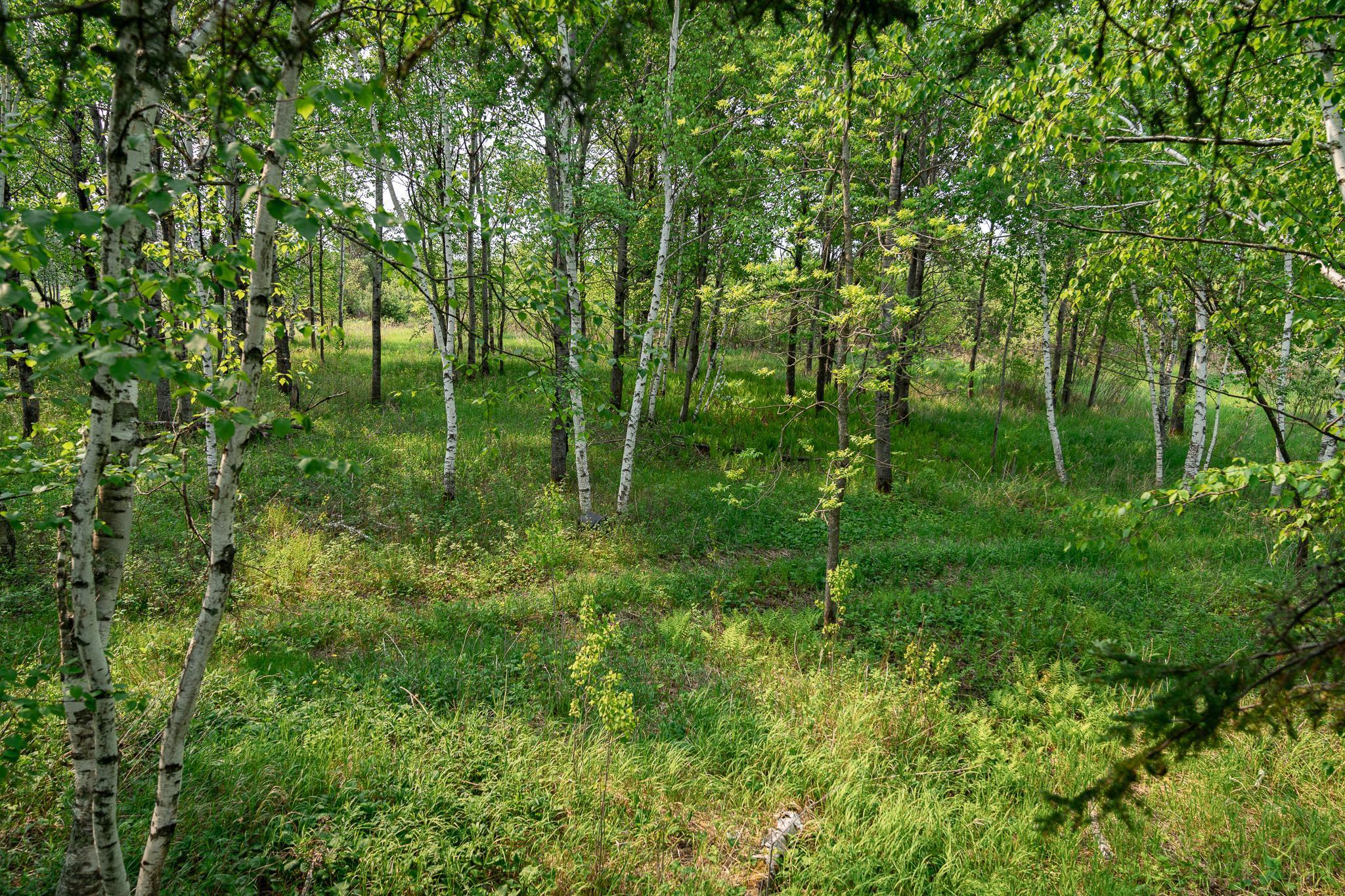 TBD-106AC County Rd 4, Wrenshall, Minnesota image 27