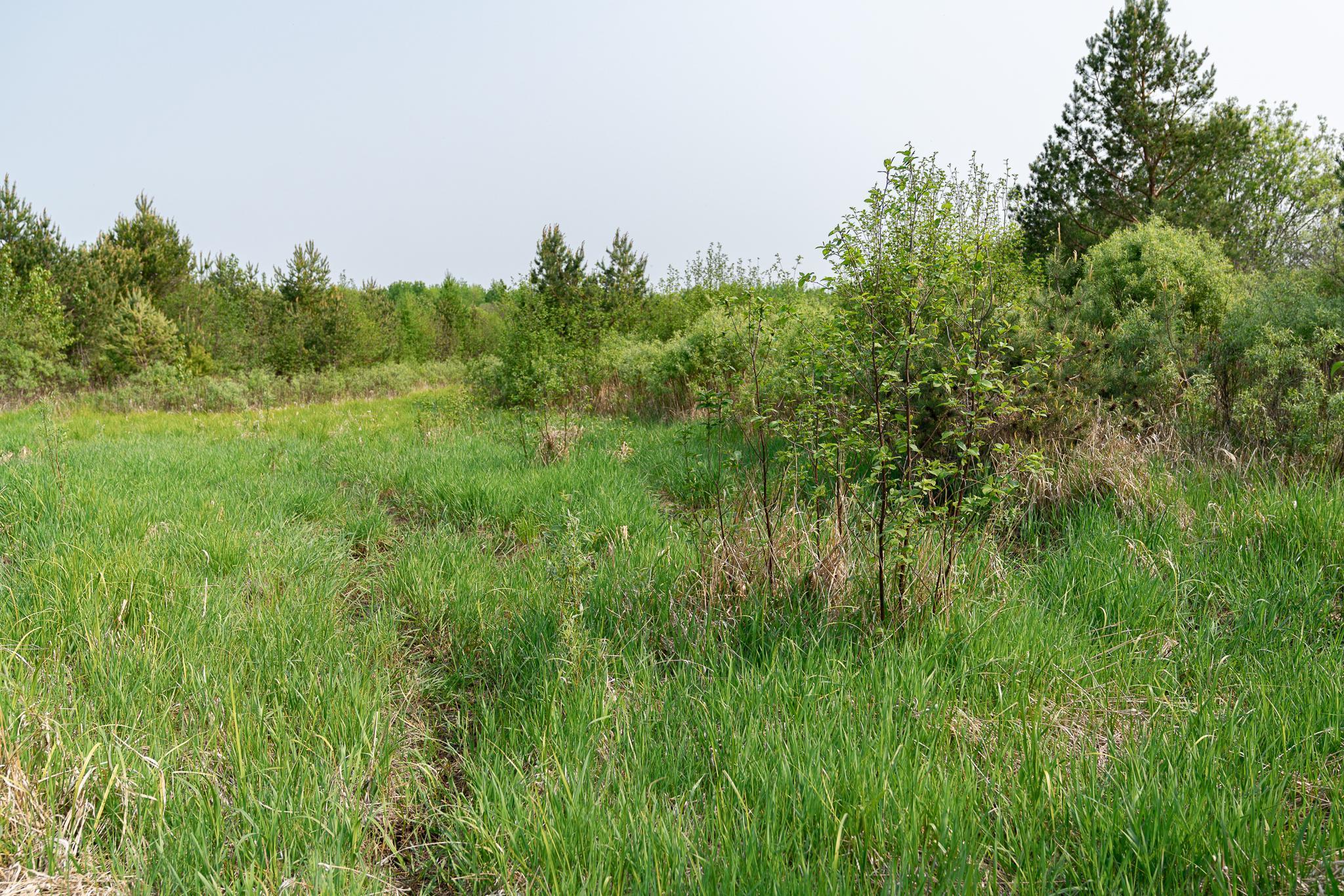 TBD-106AC County Rd 4, Wrenshall, Minnesota image 19