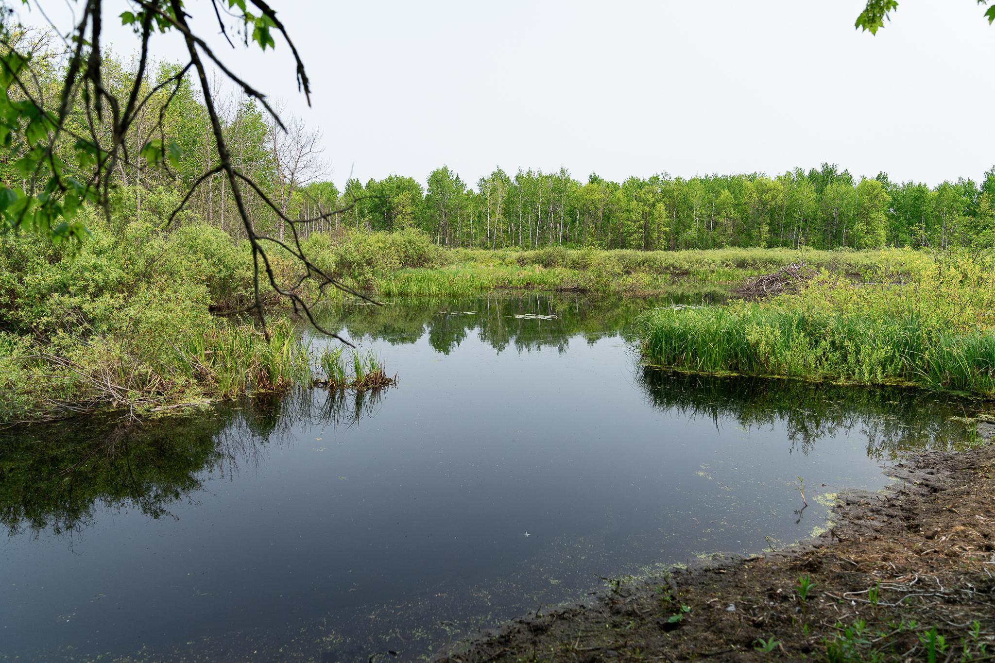 TBD-106AC County Rd 4, Wrenshall, Minnesota image 47