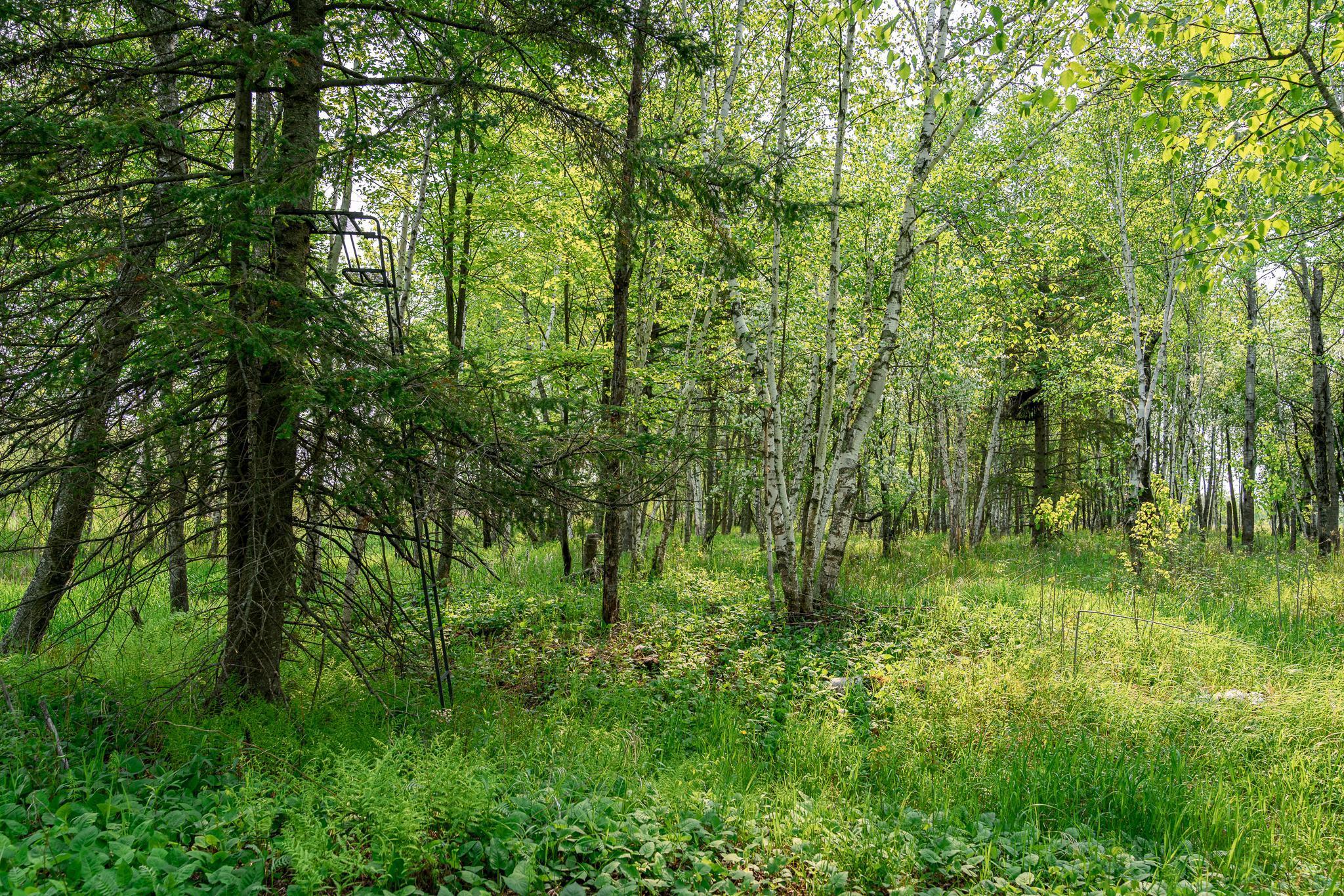 TBD-106AC County Rd 4, Wrenshall, Minnesota image 31