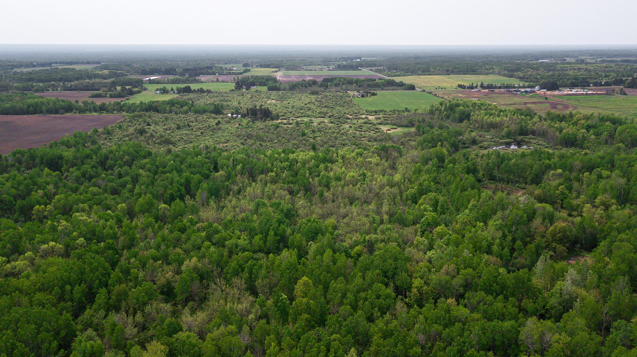 TBD-106AC County Rd 4, Wrenshall, Minnesota image 6