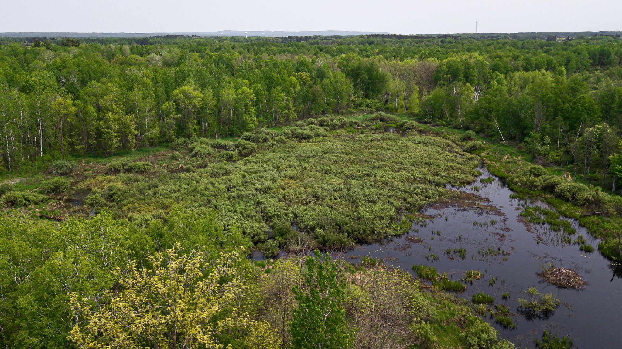 TBD-106AC County Rd 4, Wrenshall, Minnesota image 30