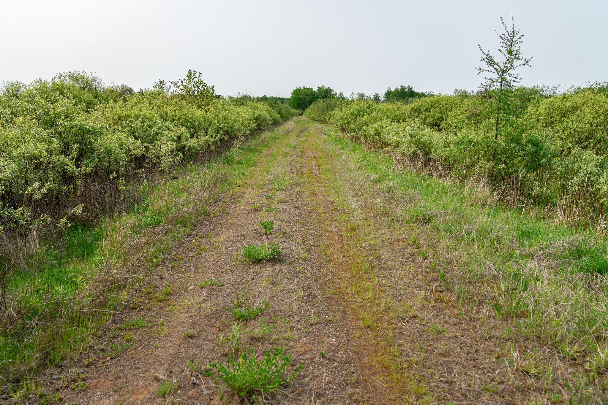 TBD-106AC County Rd 4, Wrenshall, Minnesota image 41