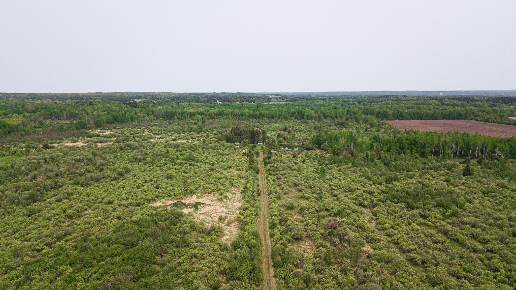 TBD-106AC County Rd 4, Wrenshall, Minnesota image 14