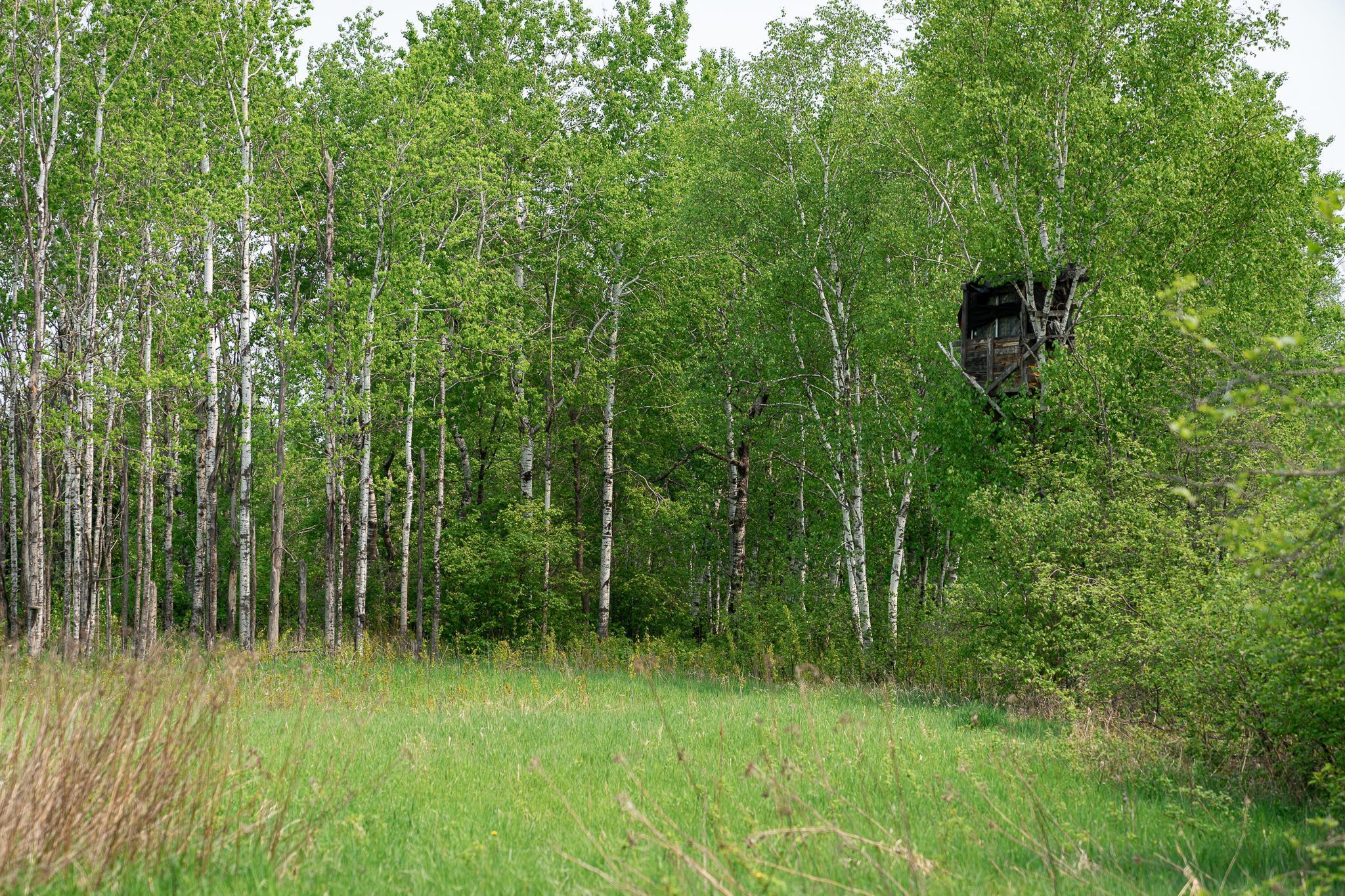 TBD-106AC County Rd 4, Wrenshall, Minnesota image 13
