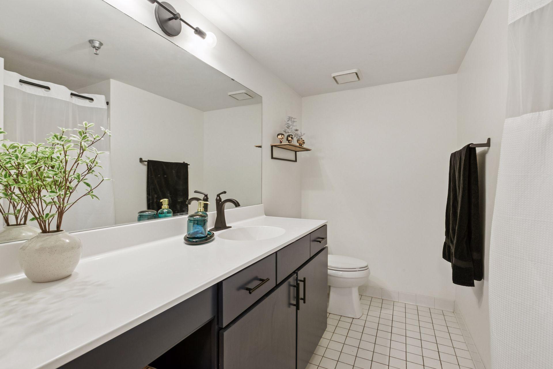 401 S 1st Street #1301, Minneapolis, Minnesota image 30