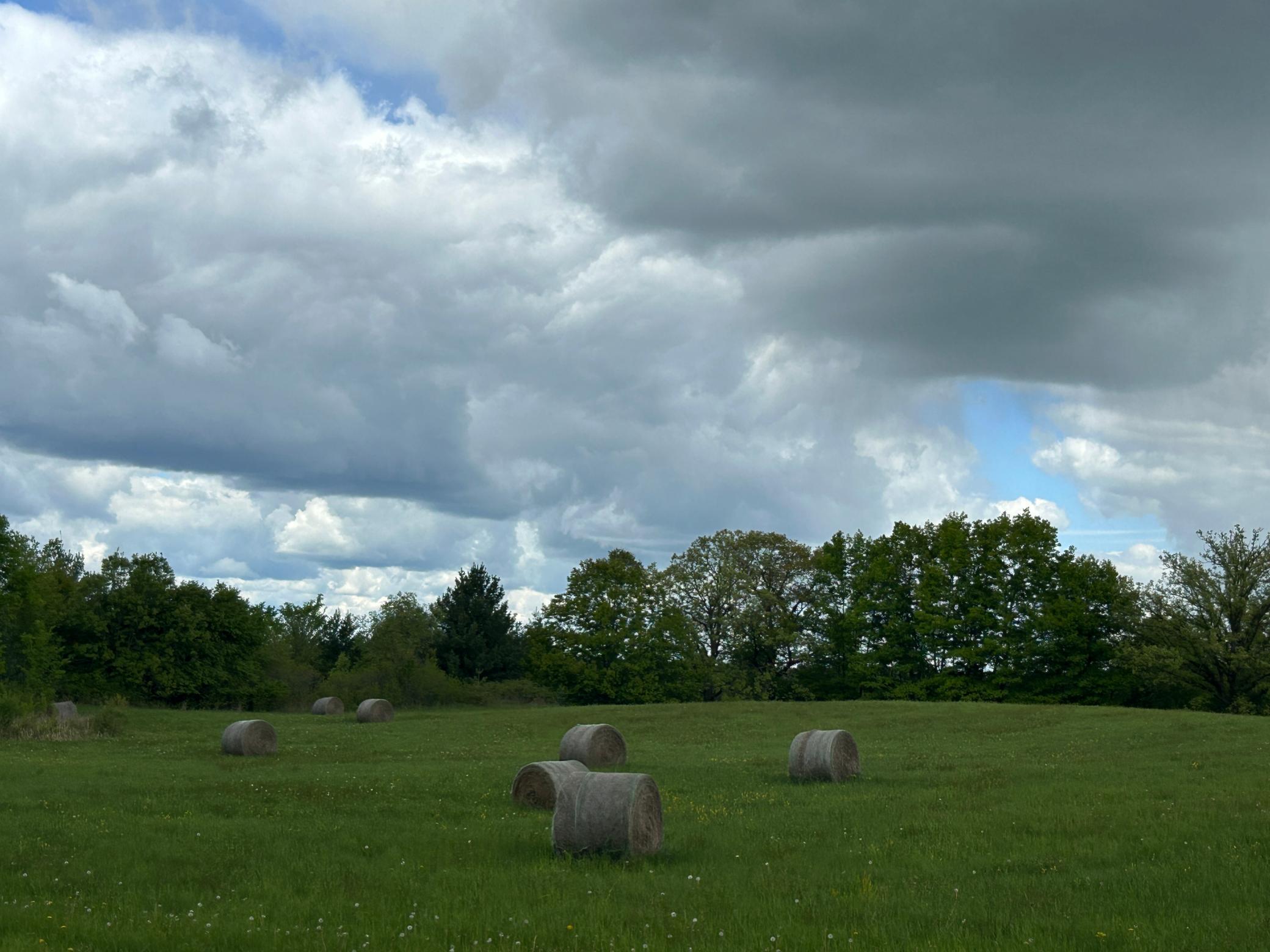 XXX 135th Avenue, Turtle Lake, Wisconsin image 3