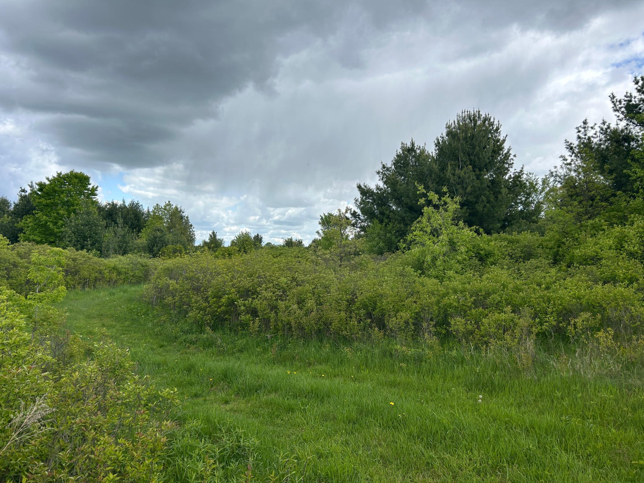 XXX 135th Avenue, Turtle Lake, Wisconsin image 2