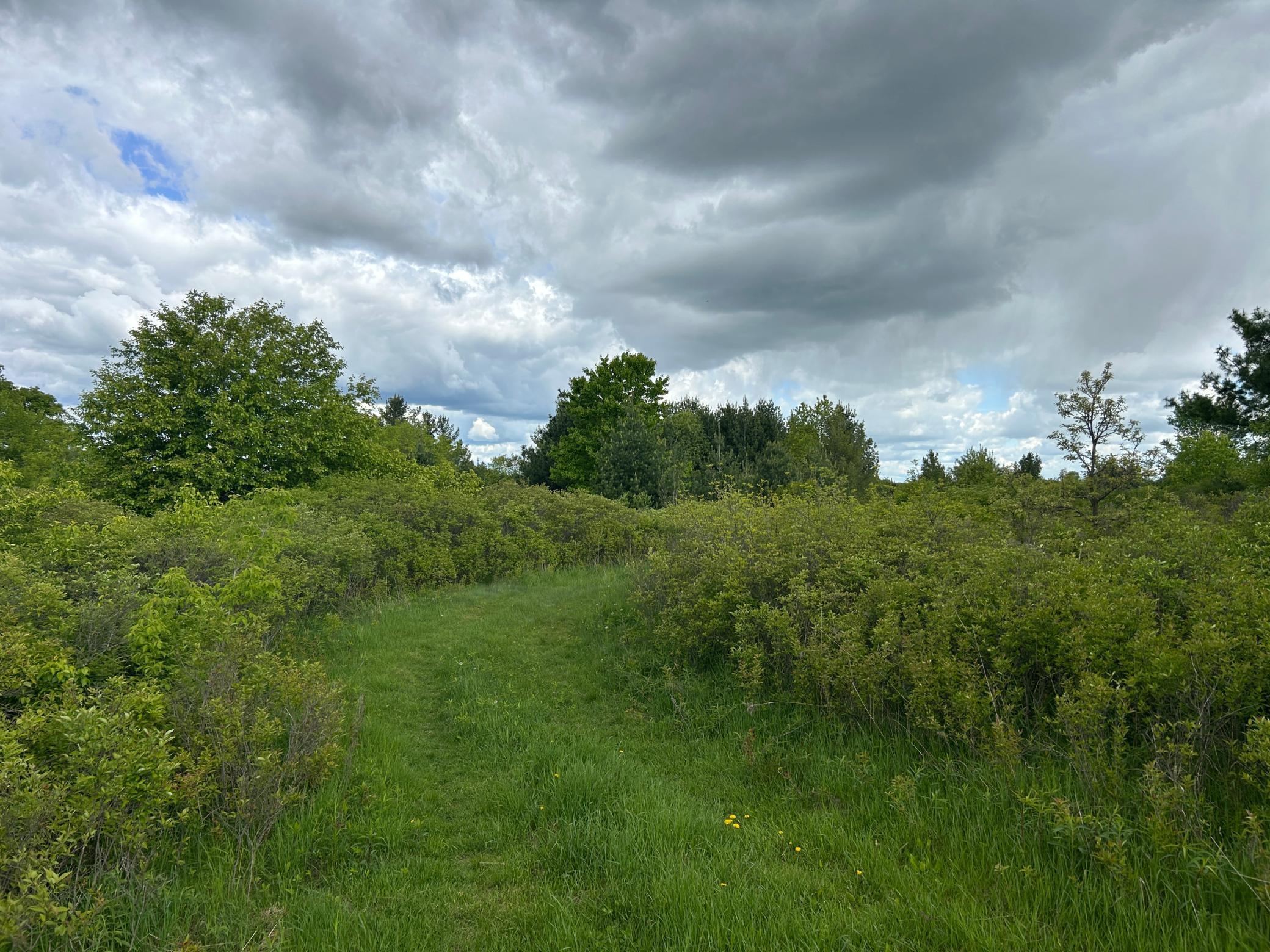 XXX 135th Avenue, Turtle Lake, Wisconsin image 1