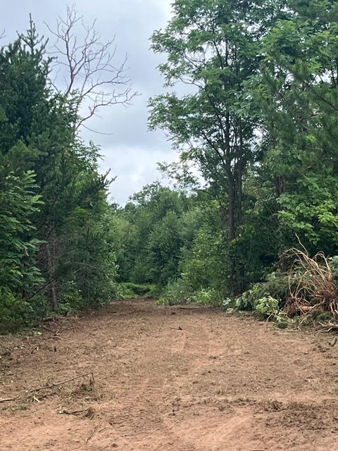 Vacant Land For Sale - XXX Bluebird Trail<br/> Burnett County, Webster, WI 54893
