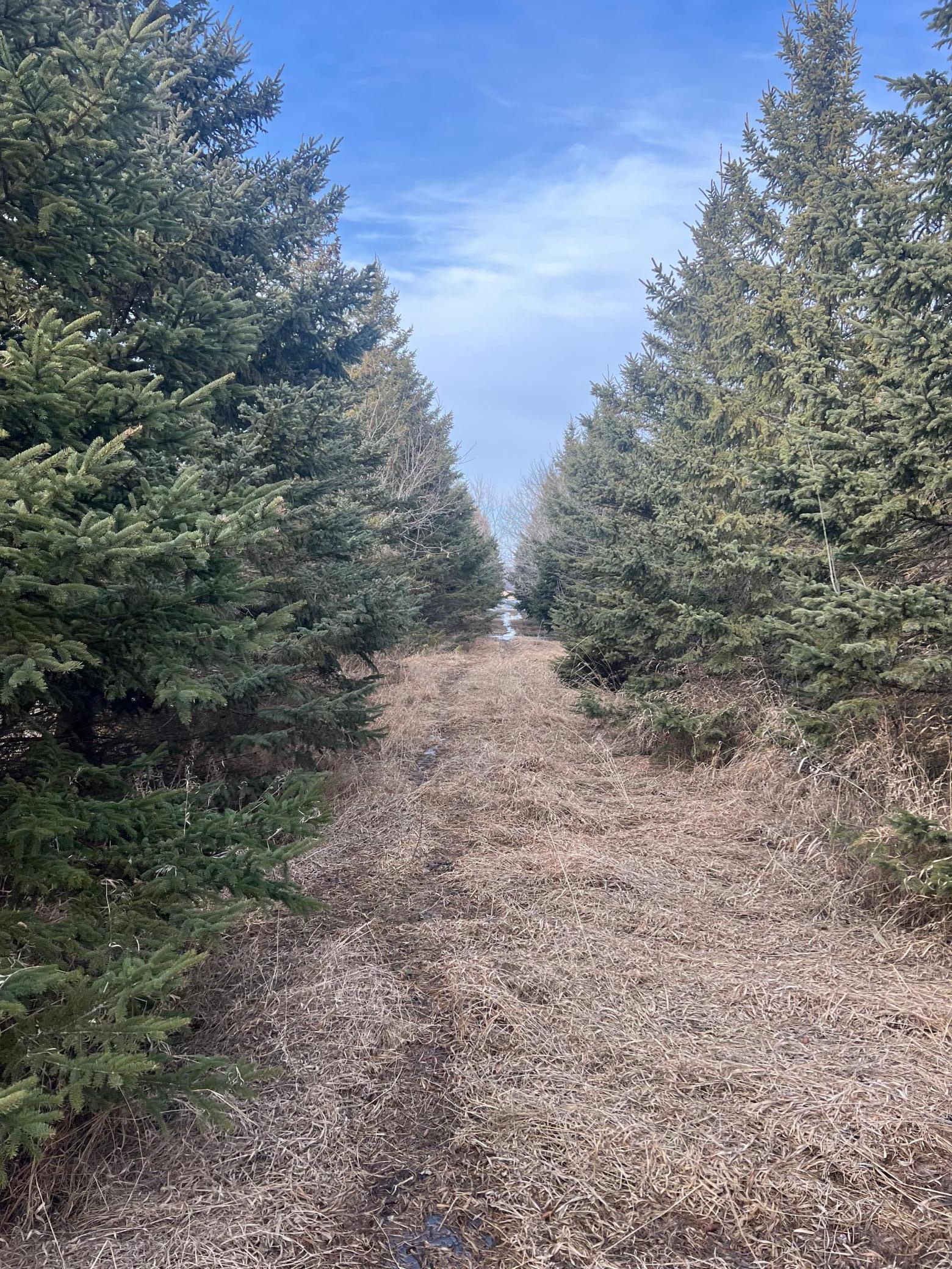TBD 240 Avenue, Elbow Lake, Minnesota image 42