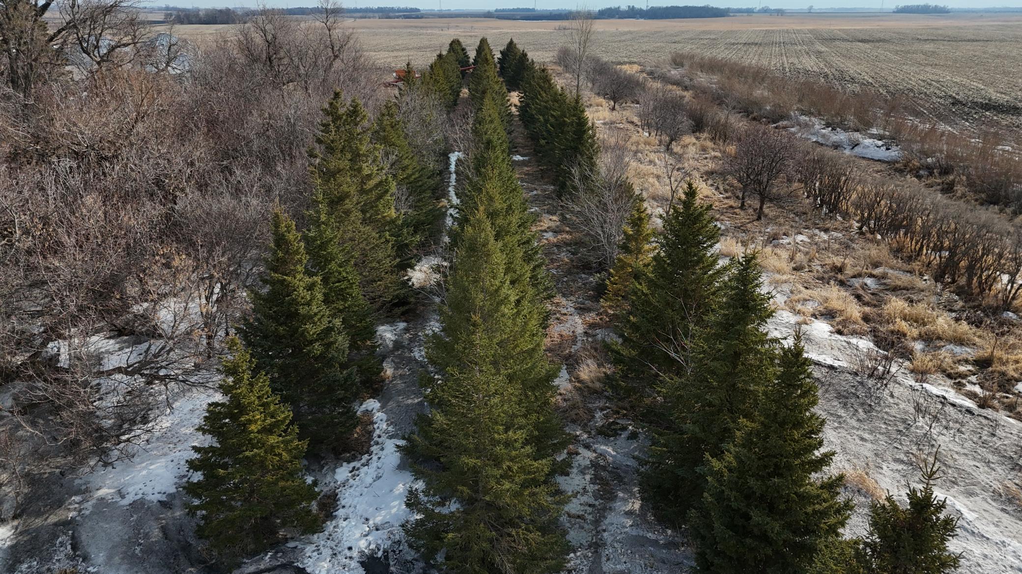 TBD 240 Avenue, Elbow Lake, Minnesota image 3