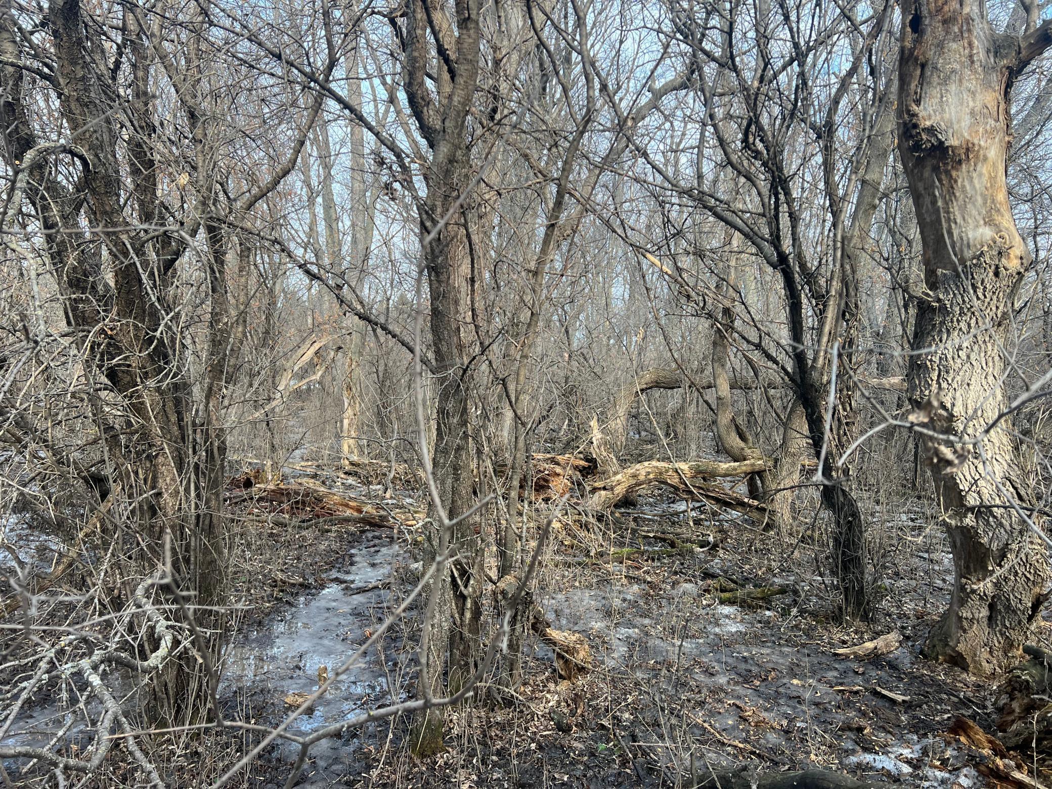 TBD 240 Avenue, Elbow Lake, Minnesota image 50