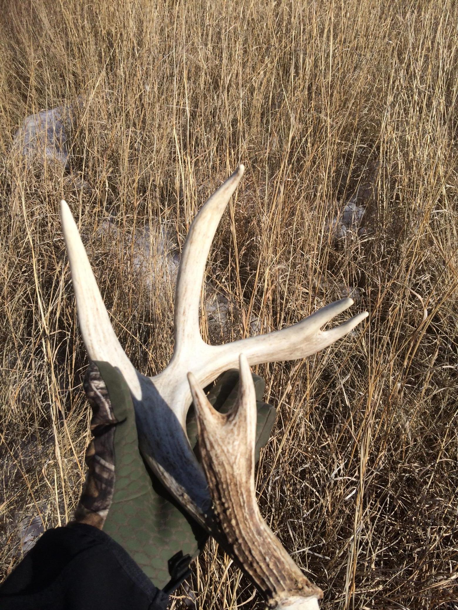 TBD 240 Avenue, Elbow Lake, Minnesota image 35